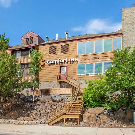 Comfort Inn I-17 & I-40 Flagstaff Eksteriør billede